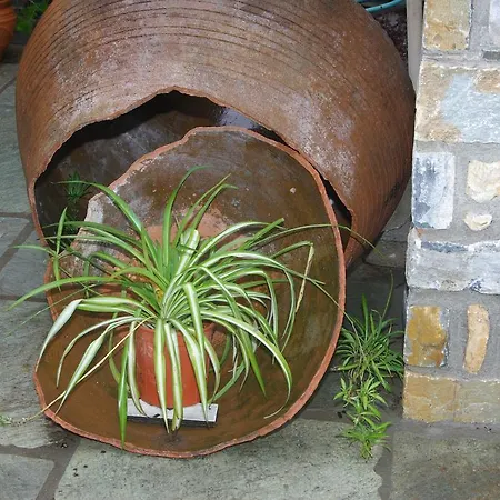 Sabouko Casa de hóspedes 3*